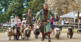 MOUTONS SACRÉS - Affiche - DOG TRAINER