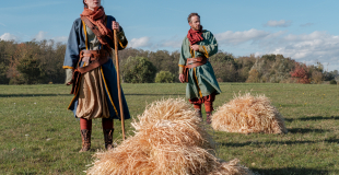 MOUTONS SACRÉS - manuel et chien - DOG TRAINER