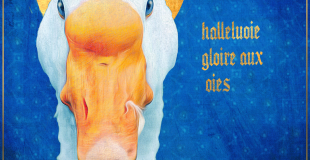 OIES SACRÉES - oies et eau - DOG TRAINER