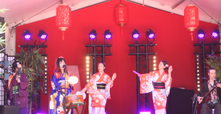 groupe ZEPPIN : avec danseuses