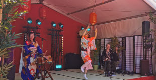 groupe ZEPPIN : avec danseuses