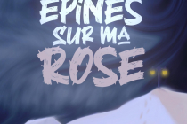 affiche du spectacle