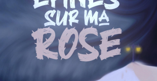 affiche du spectacle