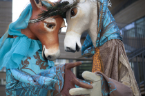 Deux ânes de contes de fées