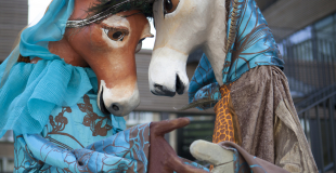 Deux ânes de contes de fées