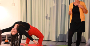 Conférence gesticulée