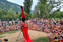 participation du public