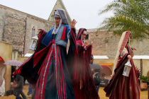 Nejmat échassières orientales - photo Ouest France