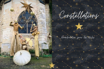 Déambulation échassiers lumineux parade