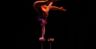 equilibre sur cannes