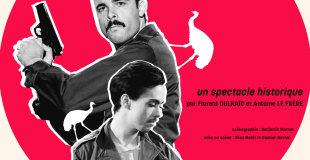 Affiche La guerre des émeus