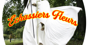 Echassiers Fleurs 