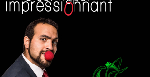 affiche du spectacle