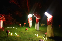 champignons féeriques