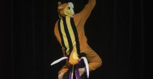 Affiche Le Radeau de l'Ecureuil