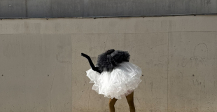 J'édite Piaf ! Personnage déambulatoire poule de luxe.