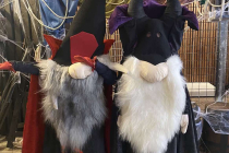 Gnom'cula et Cornéfique