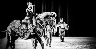 Chant live pendant un spectacle équestre