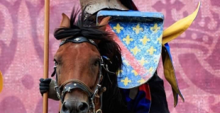 Spectacle médiéval 