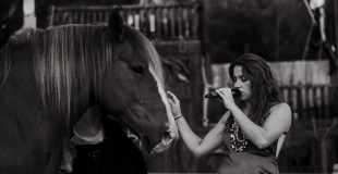 Spectacle avec musique live