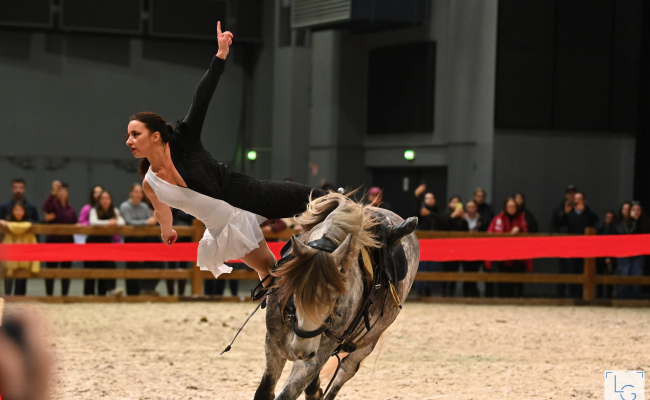 Spectacle équestre - Les 5 Etoiles de Pau - officiel