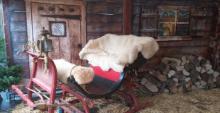 Un de nos traîneaux