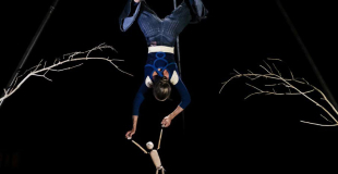 Léonie et Ernest au trapèze dans la forêt