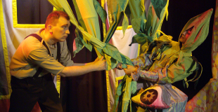 Jacques et le haricot magique