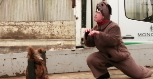 Vous avez dit bêtes !