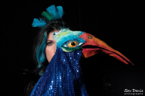 Sev Denis photographe