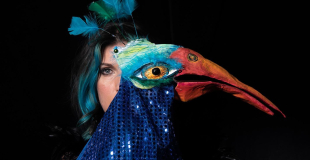 Sev Denis photographe