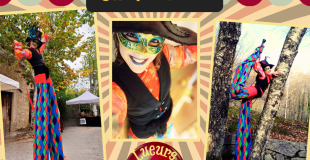 acrobaties optionelles