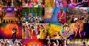 Mosaïque de photos extraites du bal des enfants de Mega Mome