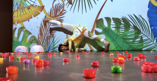 Photo Caméléon Louvain