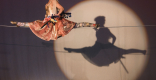 crédit photo Morgan Collet