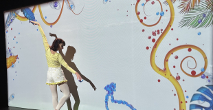 Photo Paon 2 Louvain