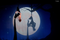 Crédit photo Morgan Collet