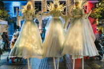 trio des fééries blanches lumineuses