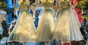 trio des fééries blanches lumineuses