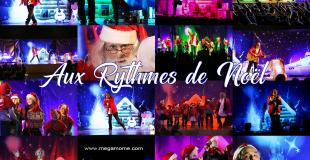 Le spectacle à travers une mosaïque de photos