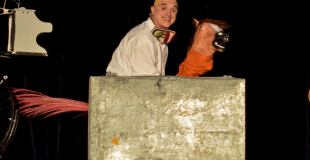 Mon petit paradis balivernes de poulpe