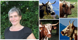 veronique blot spectacles vachement belle ferrandaises