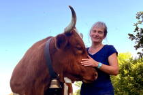 veronique blot spectacles vachement belle ferrandaises