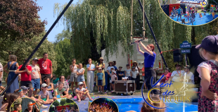 Visuel Vent des Cirques 