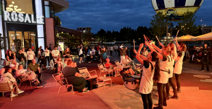 Drum de Dames Disney