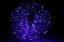 Peacock LED