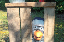 rhagan et autres curiosités, l'oiseau moustache