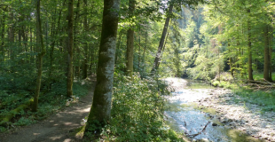 la Rivière Menoge lieu de la balade