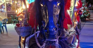 La licorne magique