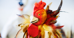 Photo de Marie-Charlotte Loreille